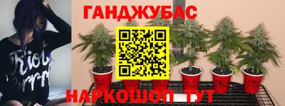 наркотики Гусь-Хрустальный