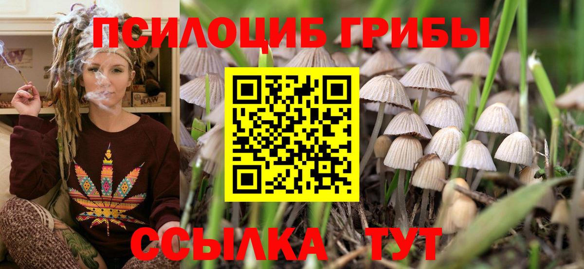 Галлюциногенные грибы мицелий Раменское